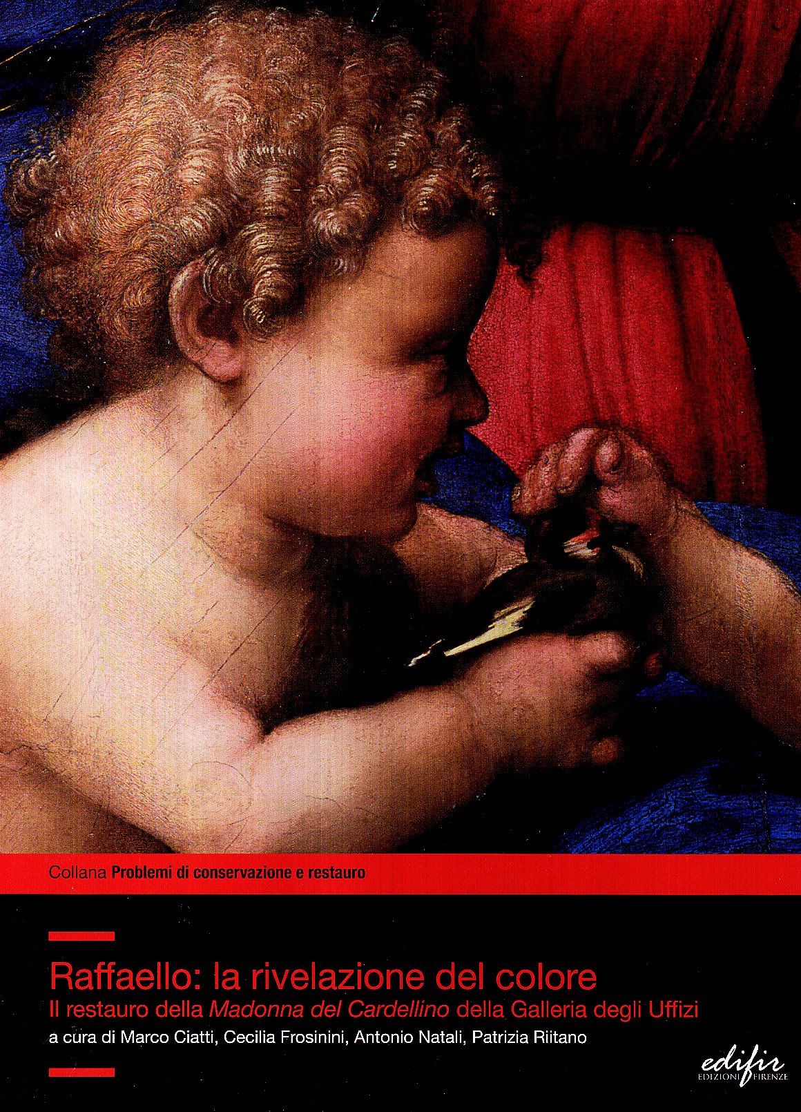 Raffaello: la rivelazione del colore. Il restauro della Madonna del Cardellino della Galleria degli Uffizi. Ediz. illustrata (Problemi di conservazione e restauro)