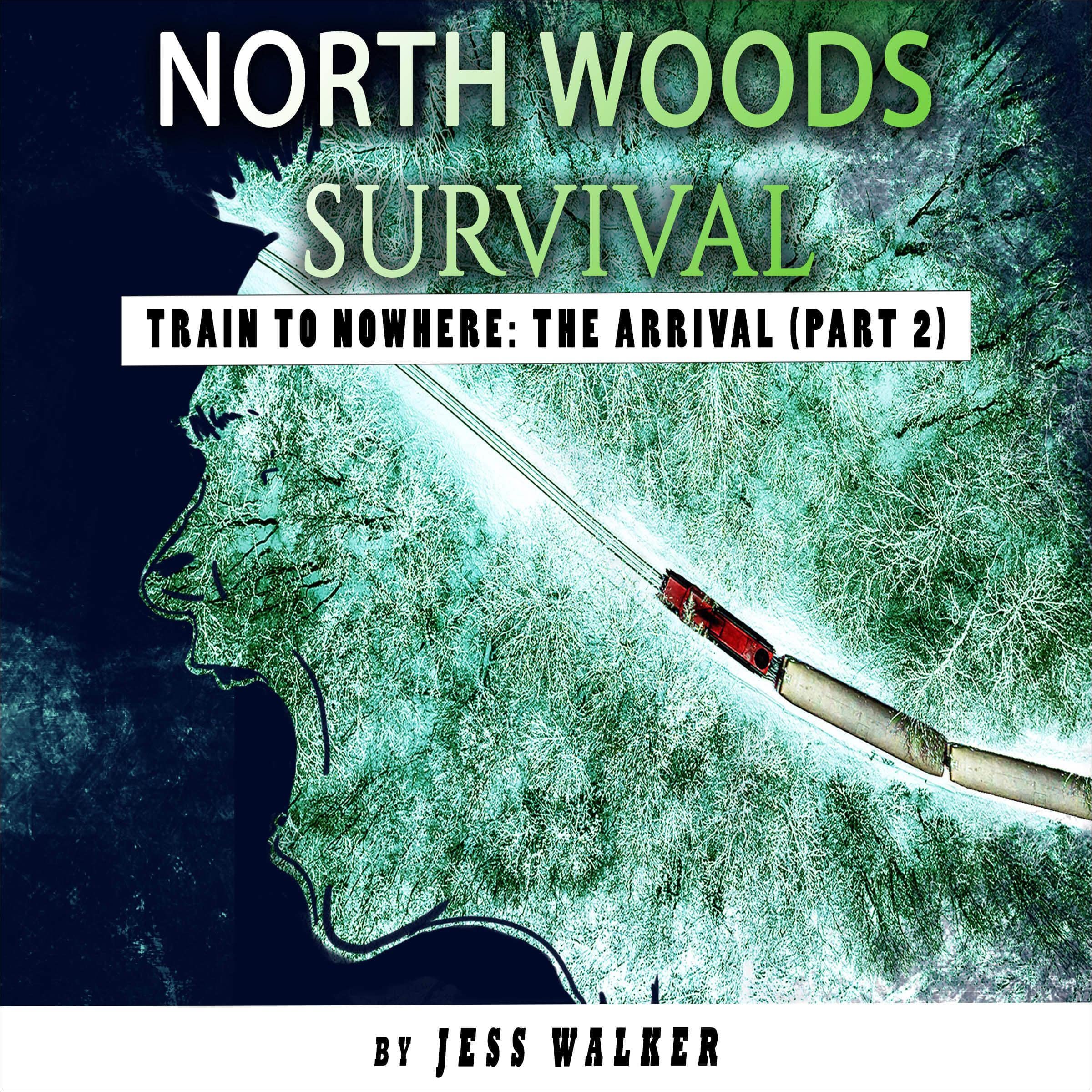 Cover art for Train to Nowhere: Survival: Part Two
