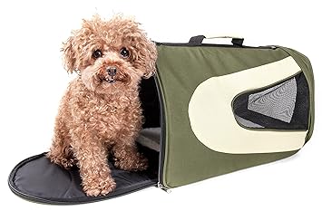 Pet Life Zippered Sporty Mesh Carrier, Green, Medium