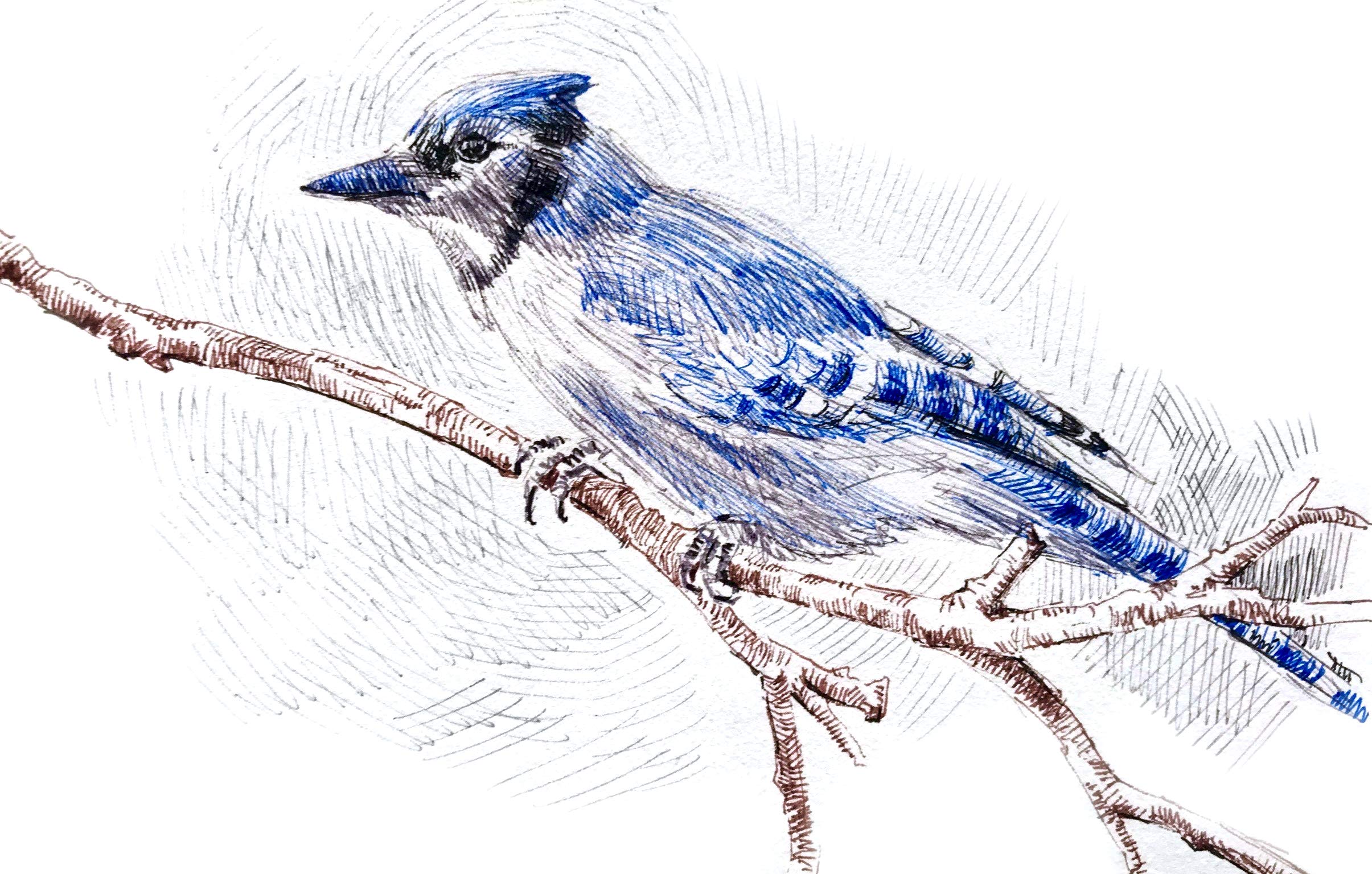 Winsor & Newton Fineliner Fine Point Pen, 0.1mm Tip, Cool Grey (Pack of 2) - Image 5