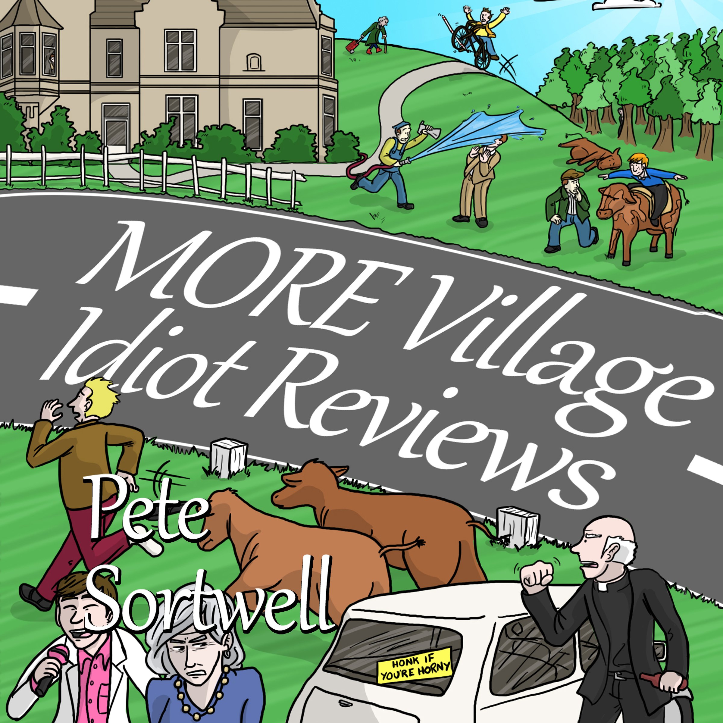 Cover art for More Village Idiot Reviews