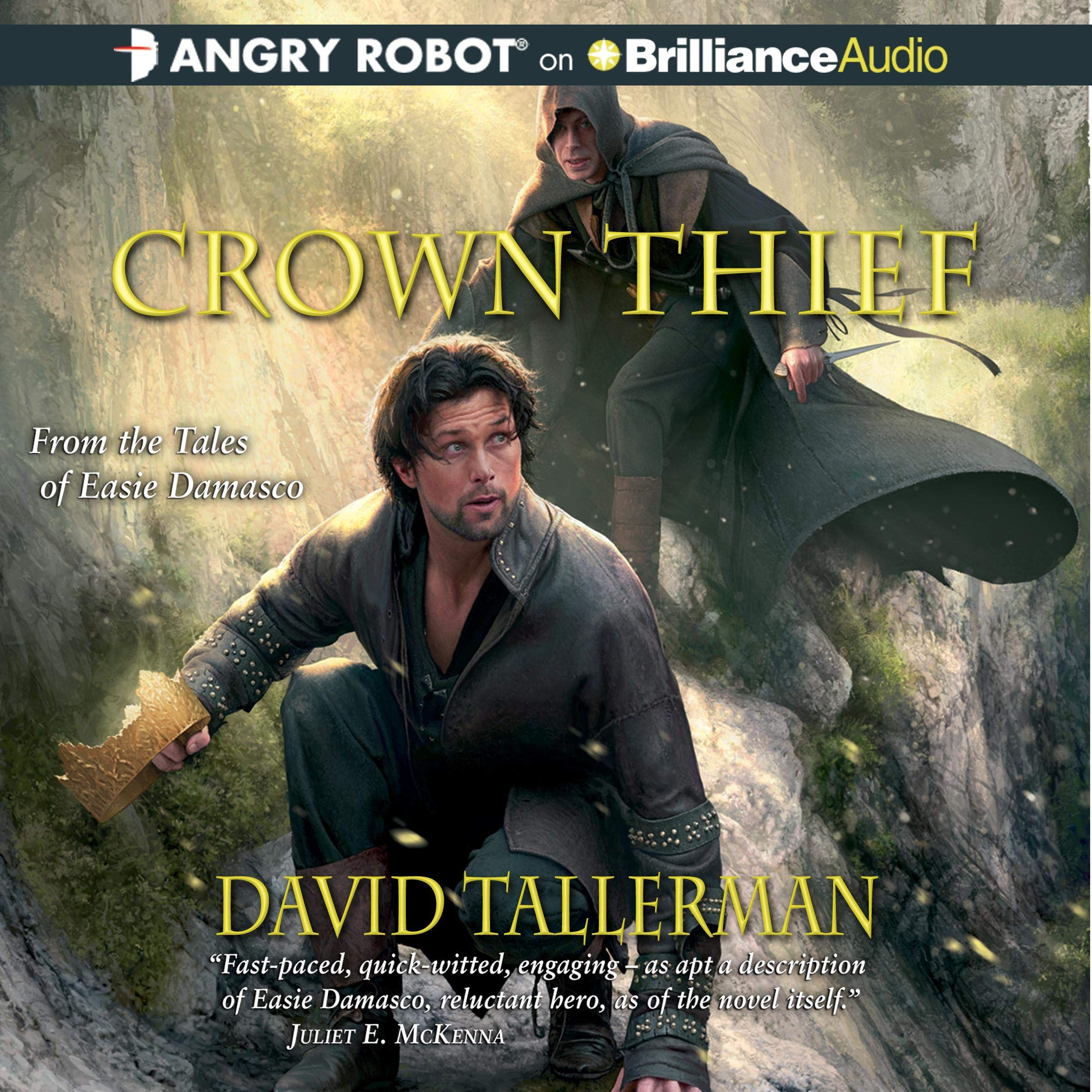 Cover art for Crown Thief