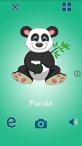 Learning animals sound / picture