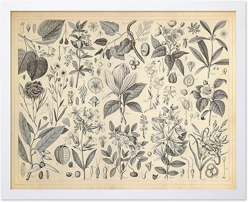 Miniatura 21 de Poster Master Póster de flores vintage, estampado botánico retro, arte floral antiguo, arte de plantas, regalo para hombres y mujeres, gran