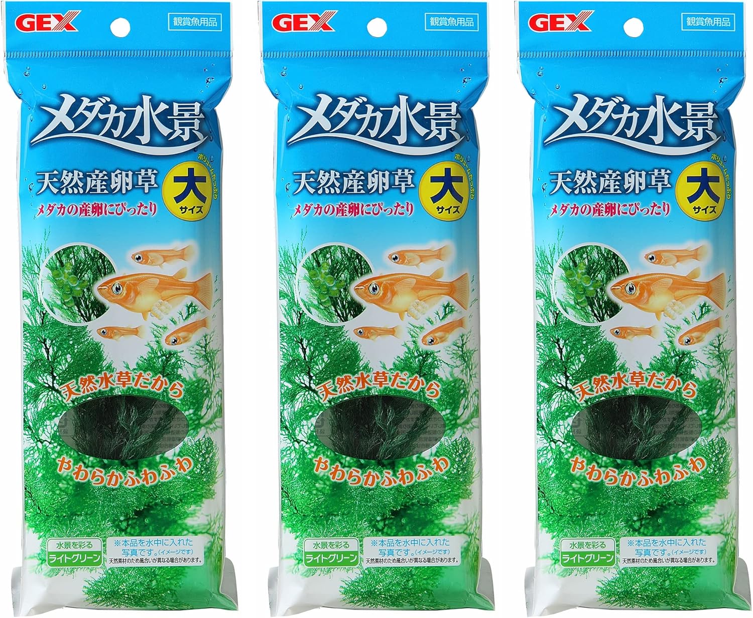 ジェックス Gex GEX Medaka Energetic Medaka Water Scene Natural Spawning Grass Large Set of 3