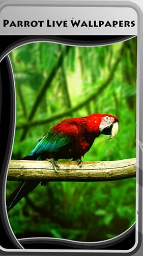 Parrot Live Wallpapers