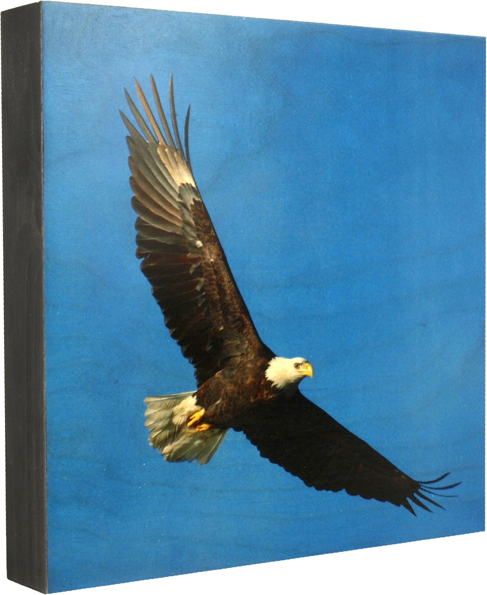 Walnut Hollow Ingrained Art with Black Onyx Edge, Bald Eagle Flying on a Summit