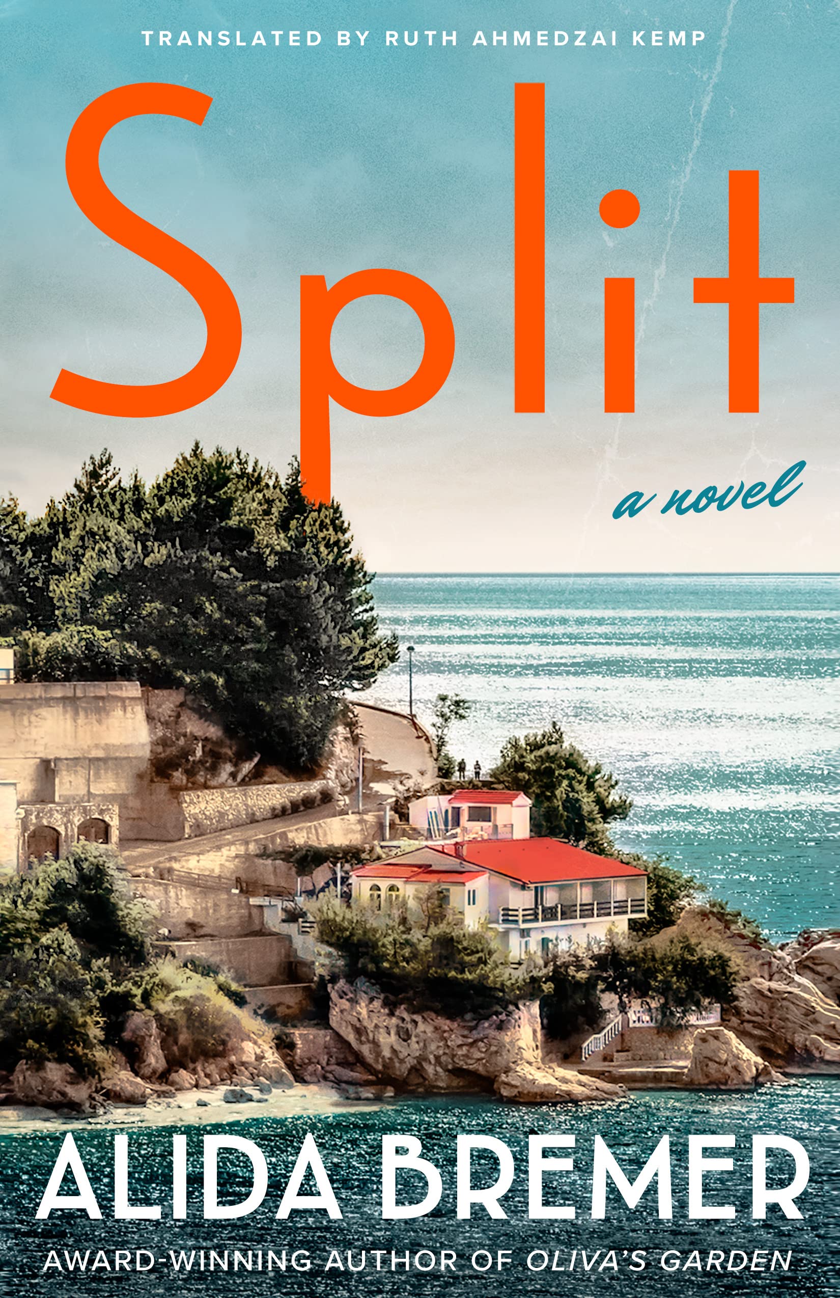 Split: A Novel