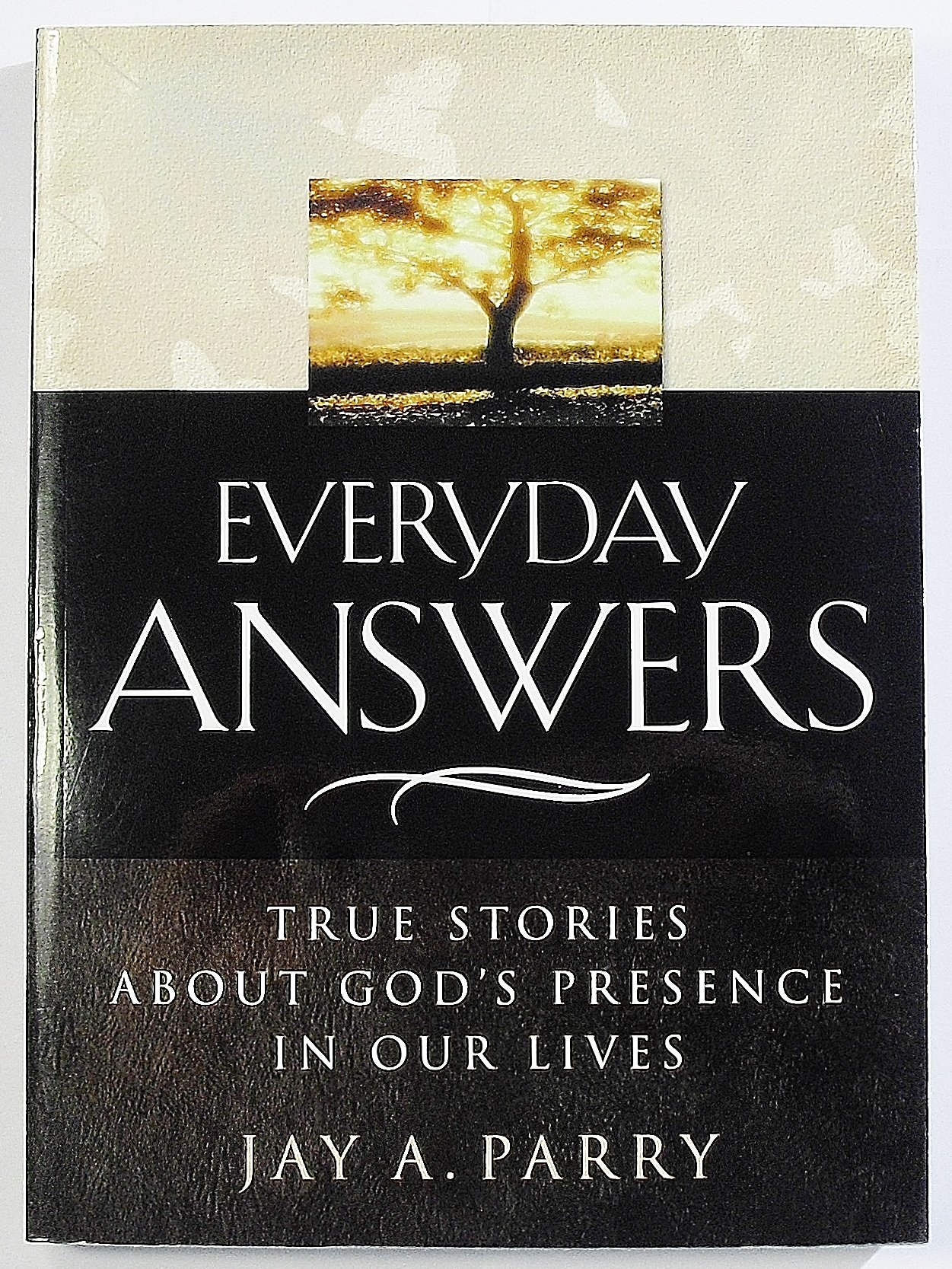 Buy Everyday Answers: True Stories About God's Presence in Our Lives — BookShops.in