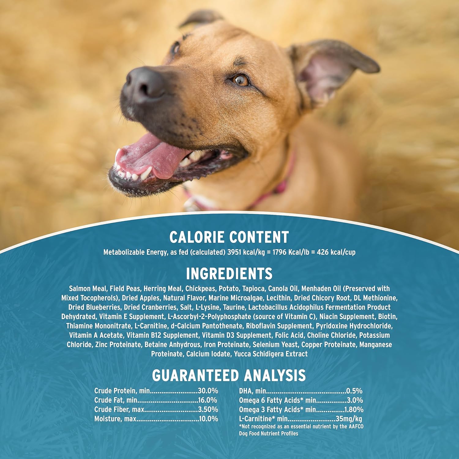 Annamaet Grain-Free Aqualuk Cold Water Fish Formula Dry Dog Food, (Salmon & Herring), 25-lb Bag