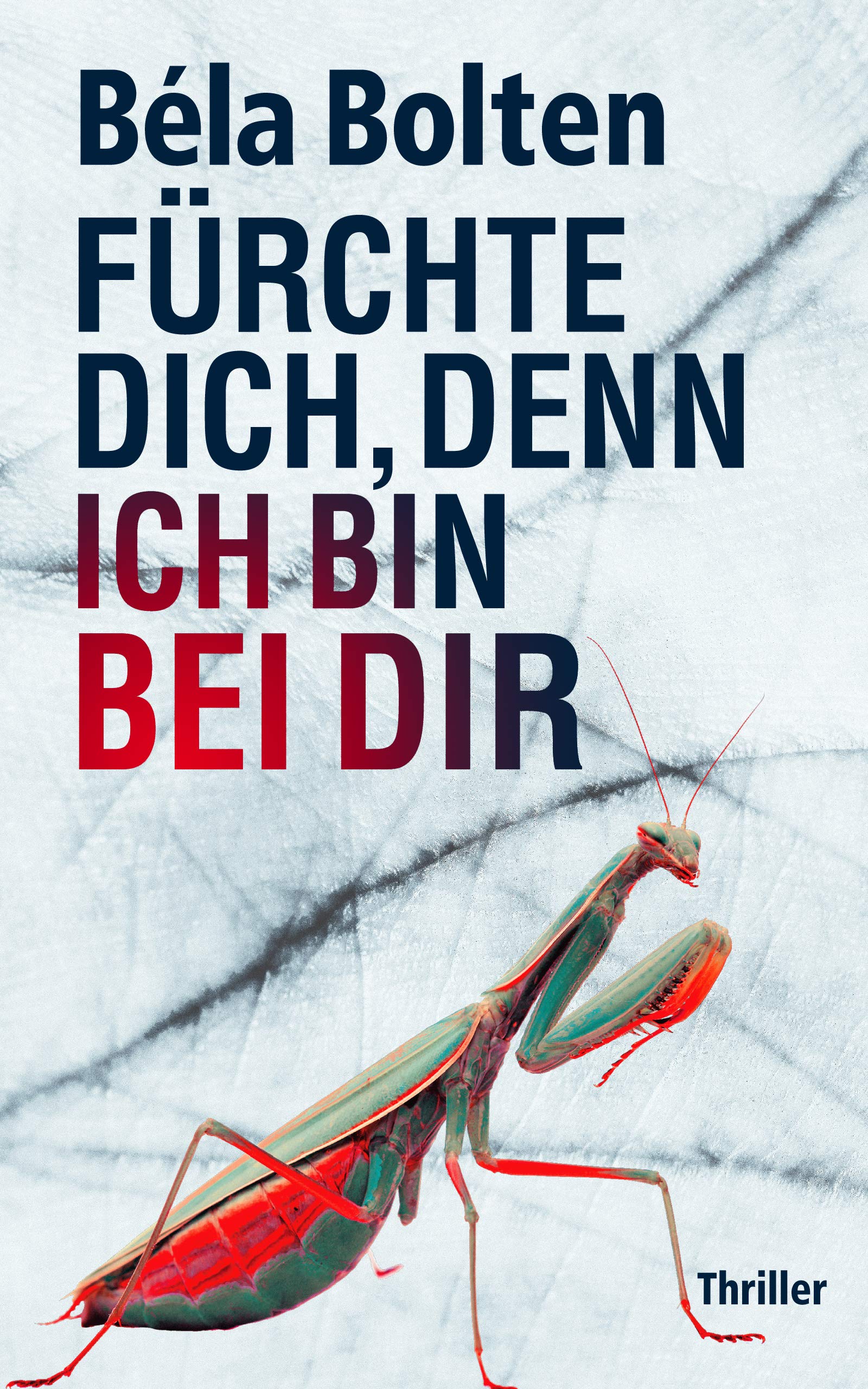Kindle eBooks ab 0,99€