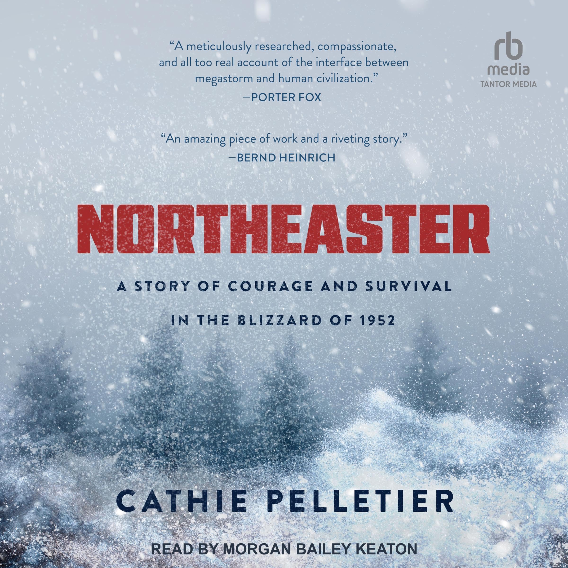 Cover art for Northeaster