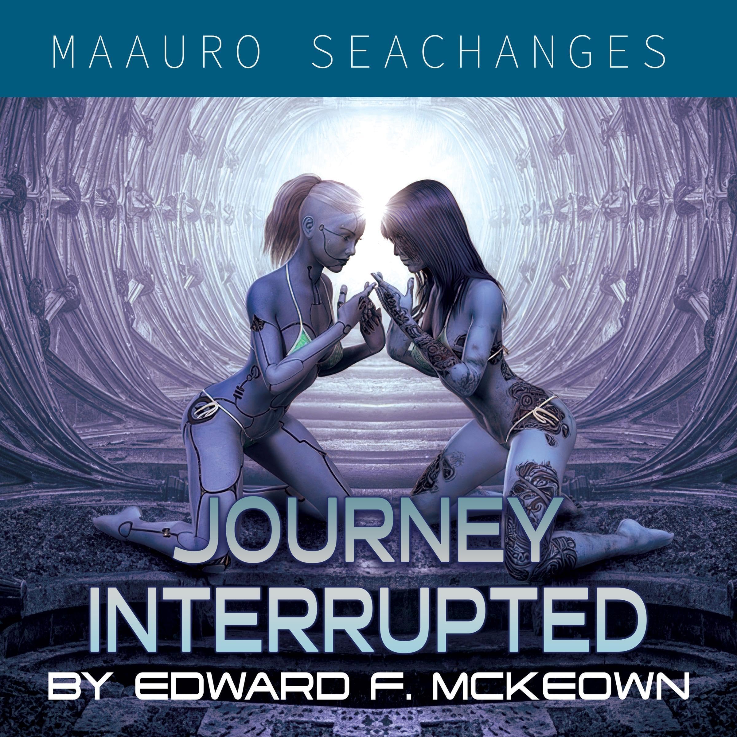 Cover art for Journey Interrupted