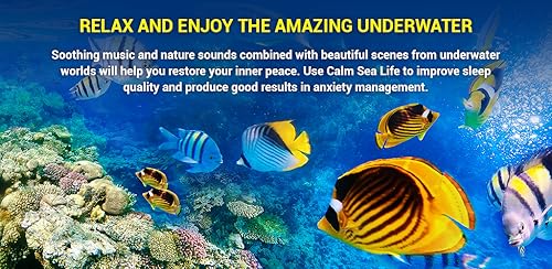 Calm Sea Life - Vídeos de Aquário e Relaxamento Subaquático