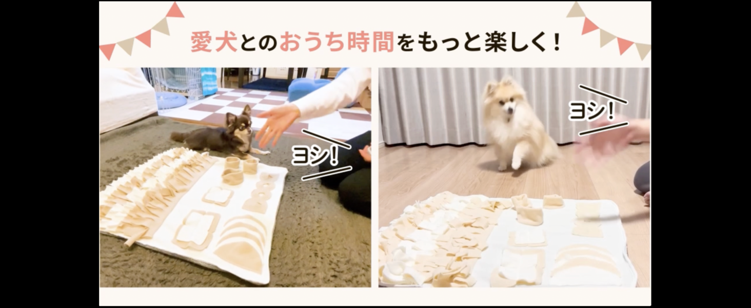 Amazon | 【ドッグトレーナー推薦・JPPMA認定品】ノーズワーク 犬