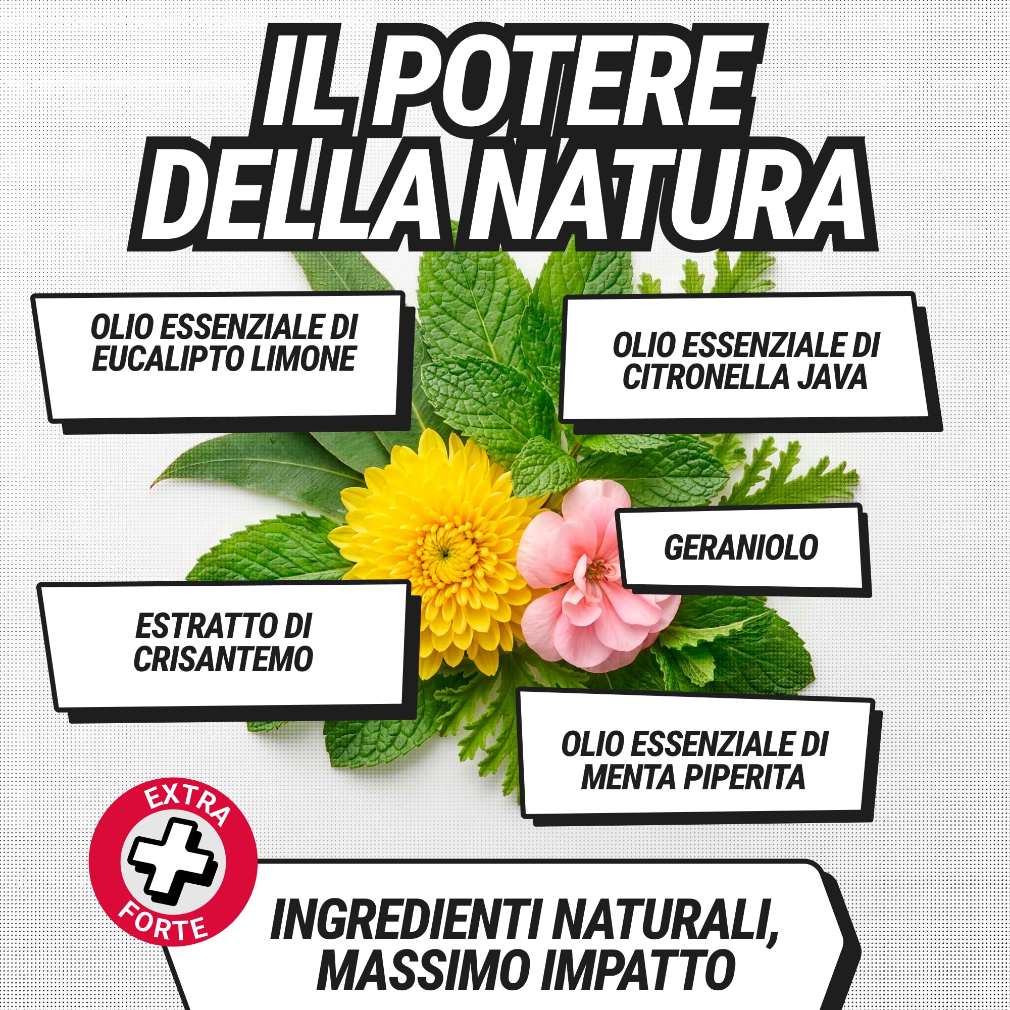RepellShield Spray Repellente Ragni – Formula Avanzata con Oli Essenziali – Spray Ambientale per Casa, Cucce e Aree Interne Esterni –Non Macchia – Azione Rapida e Facile da Usare, 500ml