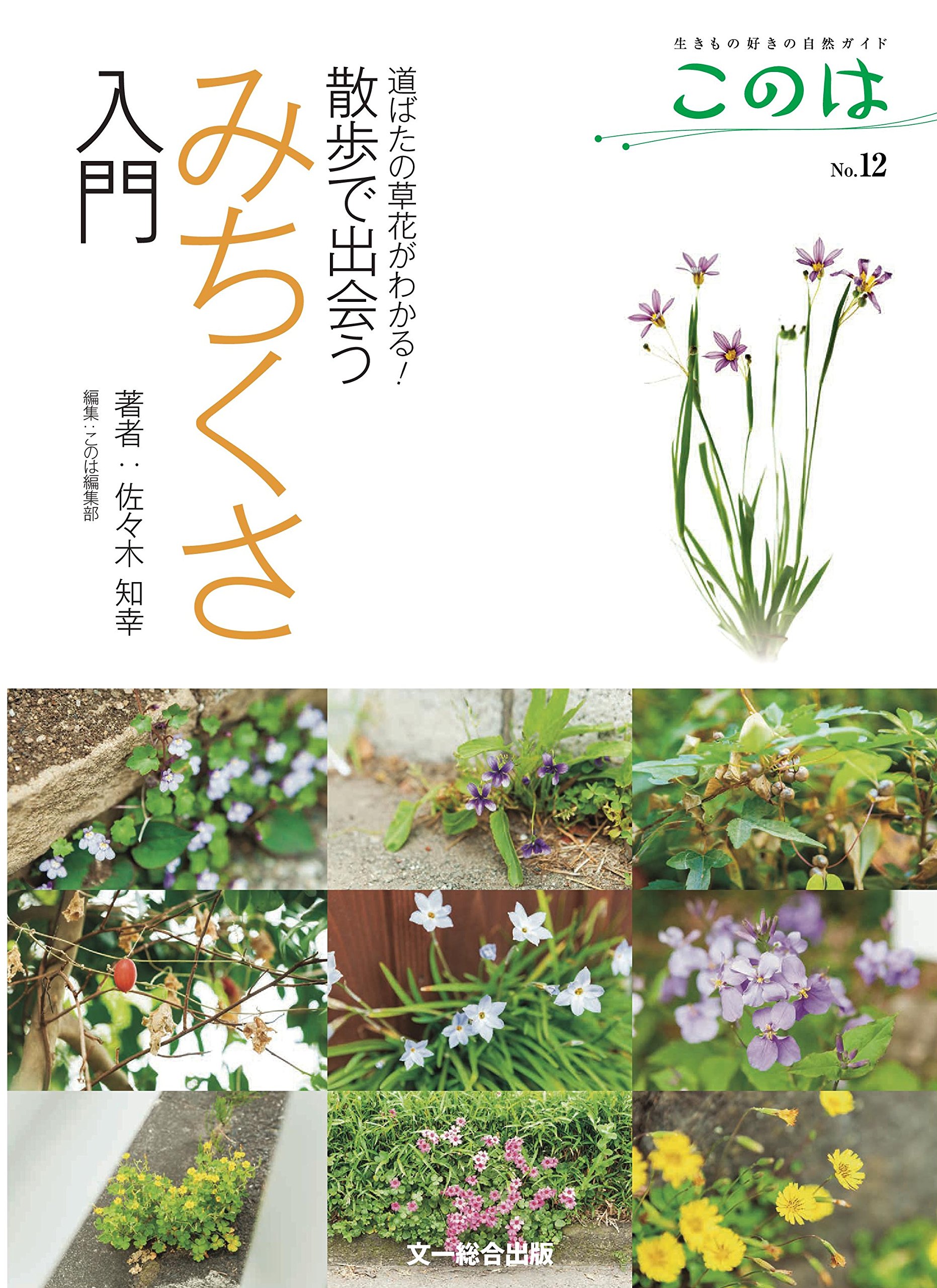 散歩で出会うみちくさ入門 —道ばたの草花がわかる! (生きもの好きの