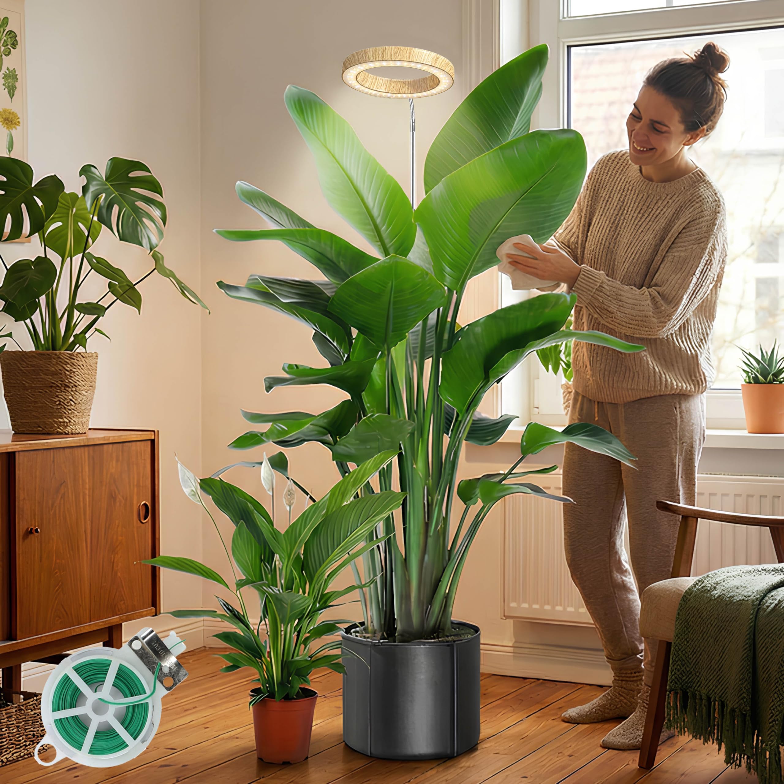 Wachstumslichter für Zimmerpflanzen, Vollspektrum, 16 cm, LED-Holzmaserung, Pflanzenwachstumslicht, 30–160 cm, höhenverstellbare Pflanzenlichter, Wachstumslampe mit Auto-Timer, 3H/9H/12H, 10 dimmbare