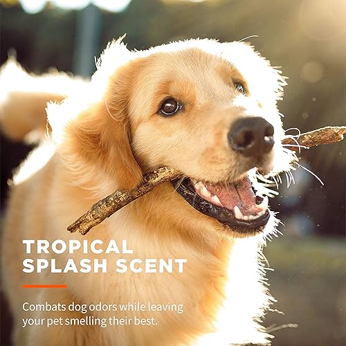 Miniatura 5 de Wet Ones Toallitas multiusos para perros para mascotas con aloe vera  Toallitas para perros para todos los perros en salpicaduras tropicales,