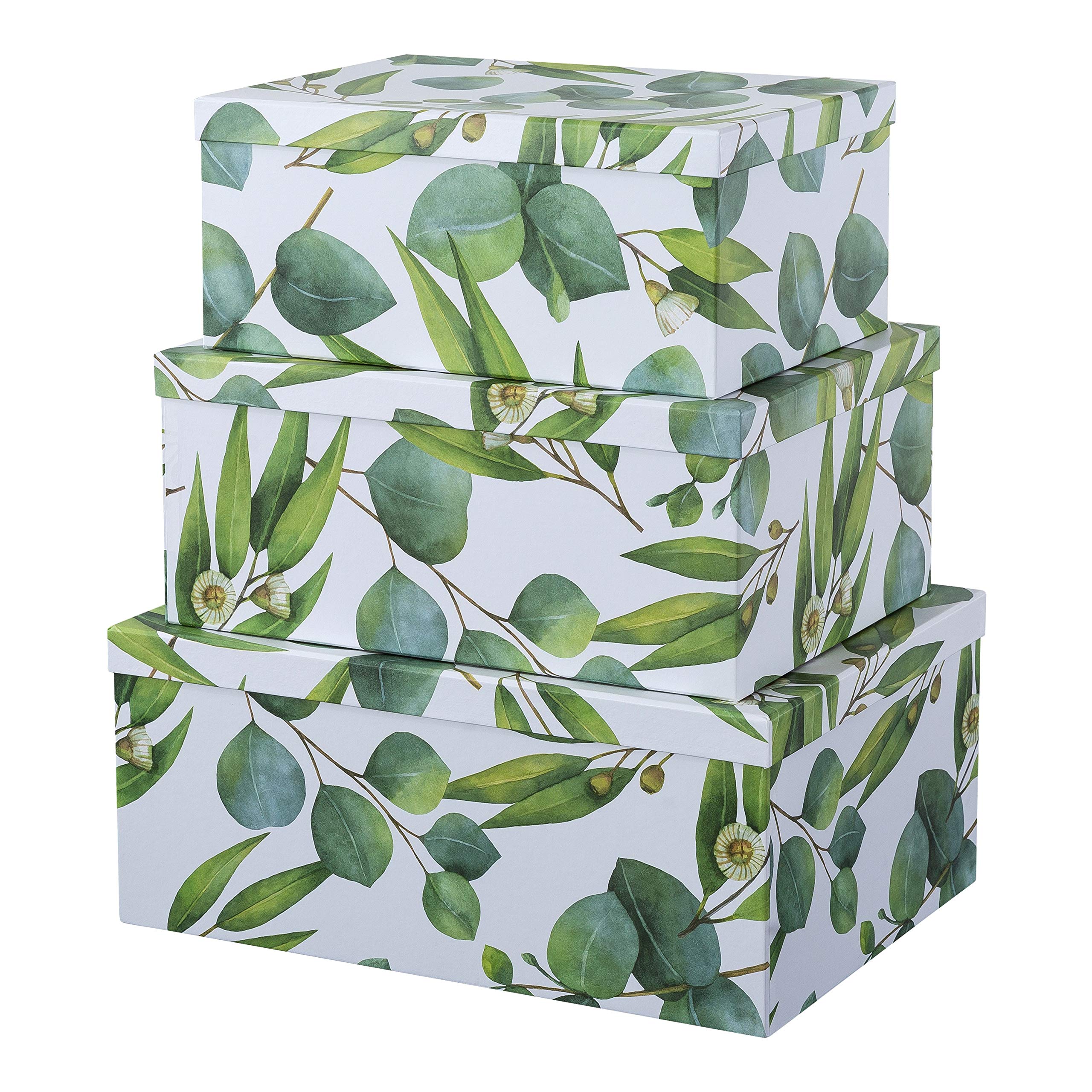 Soul & Lane Sprigs of Green Decorative Storage Boxes with Lids - Set of 3: Natural Print Farmhouse Large Gift Box, Decorative Craft Nesting Bins, Cardboard Wardrobe Boxes with Lids, Toy Storage
