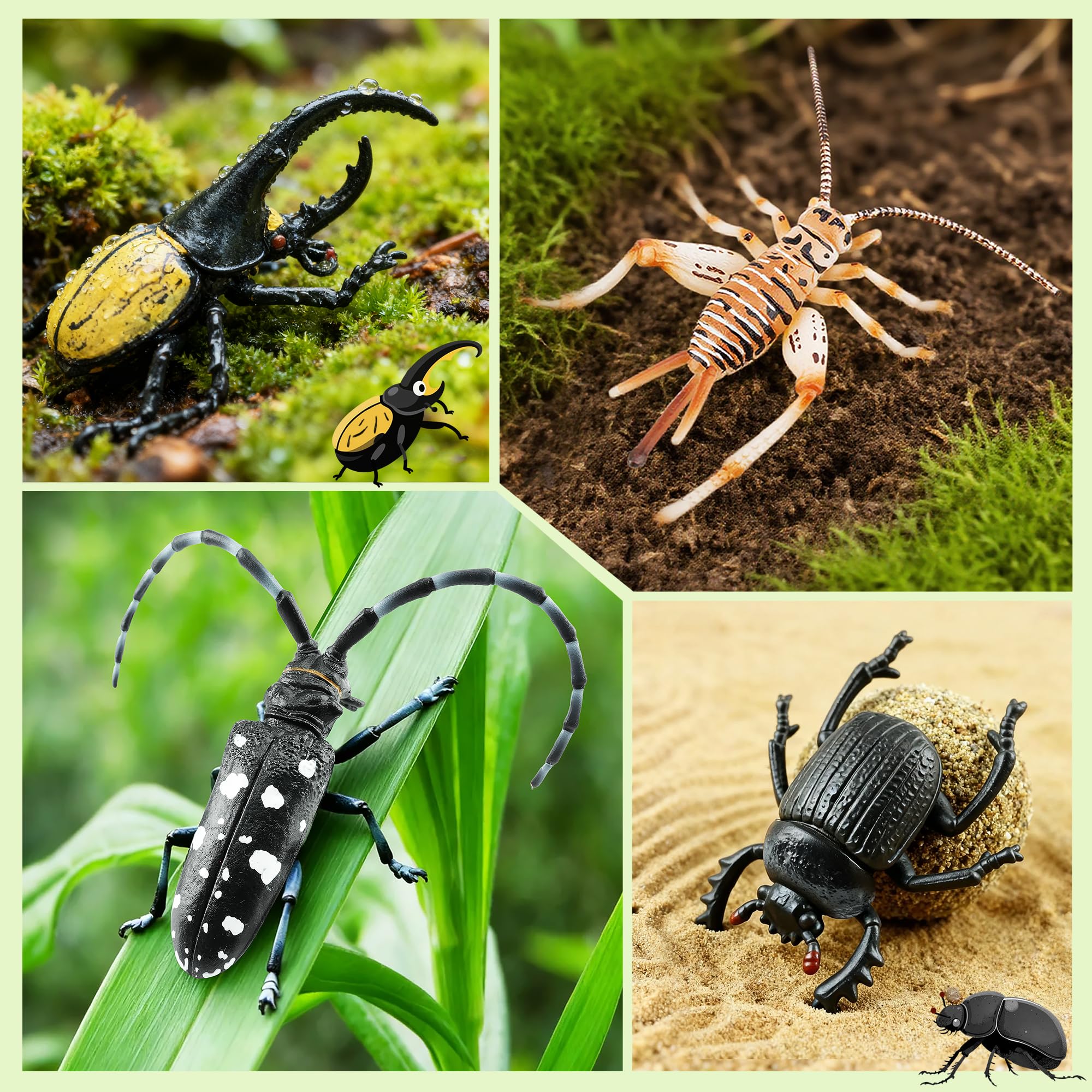 TOYMANY Zestaw 12 realistycznych figurek owadów, z tworzywa sztucznego, motyw owadów, na imprezę, zabawki edukacyjne, pisanki, Halloween, dekoracja na ciasto, na Boże Narodzenie, urodziny, prezent dla