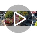 50% Off BLEUM CADE 22 Bundles Artificial Flowers - Image 8