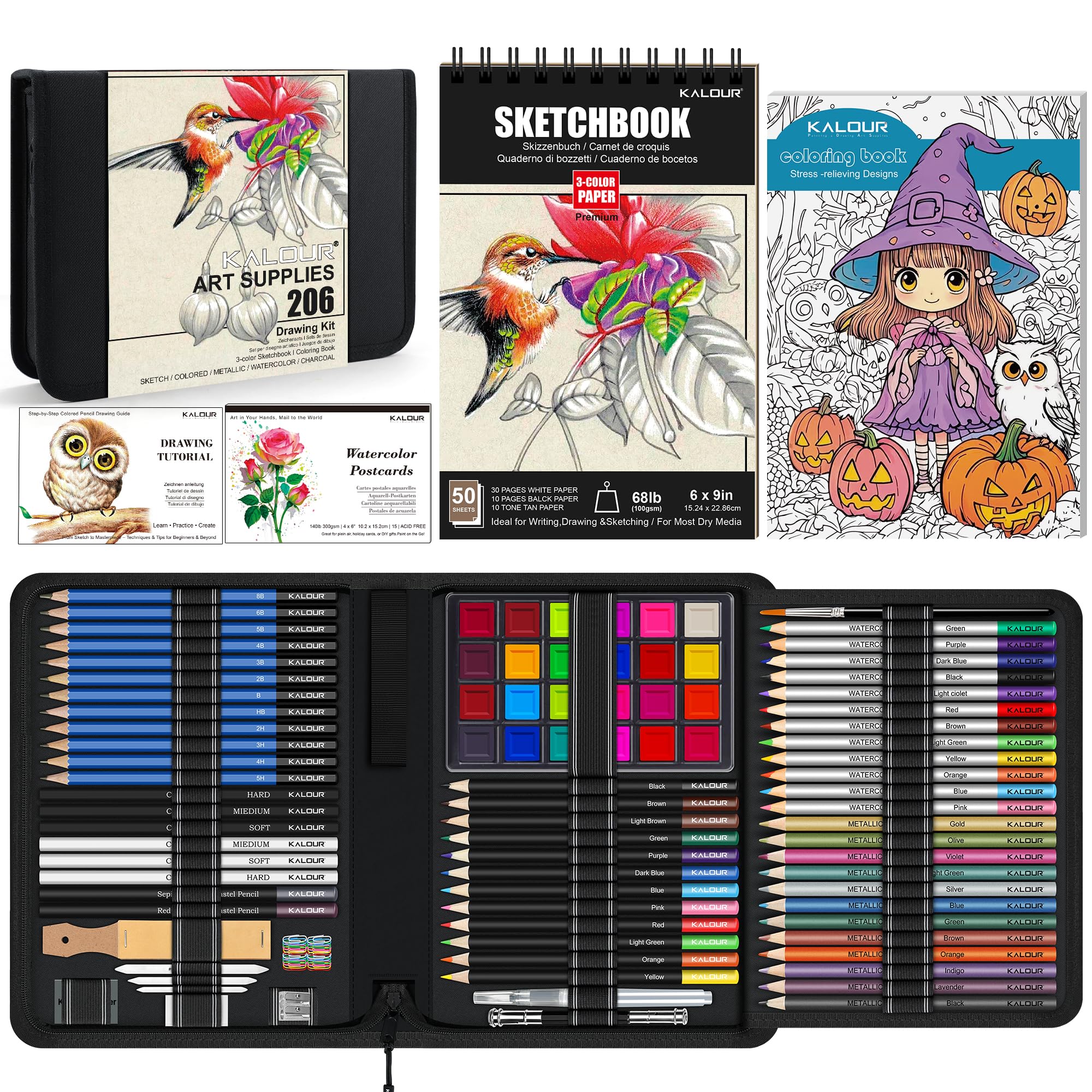 Amazon.com: KALOUR 206 Drawing Set Sketching Kit,Art Supplies with