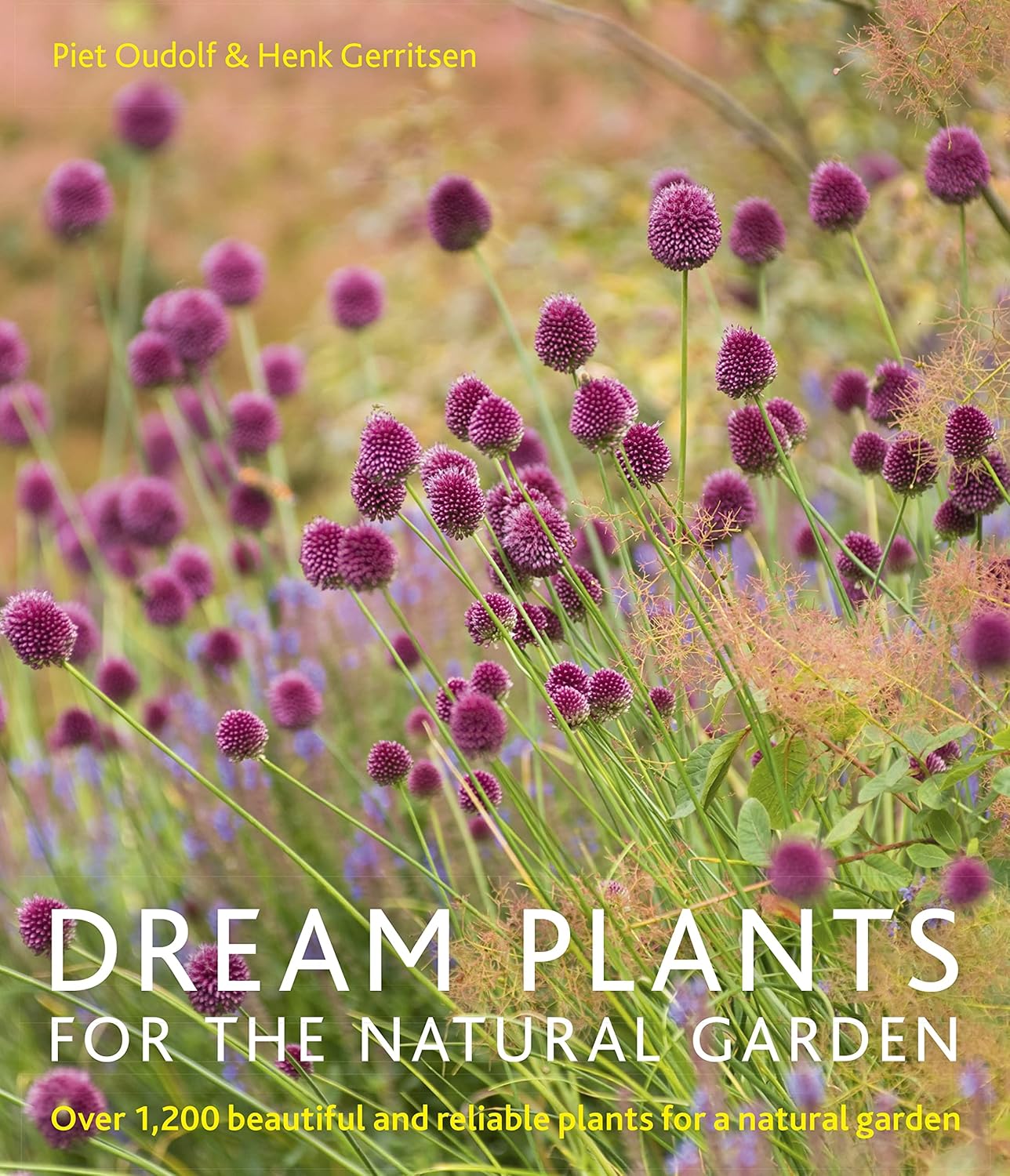 Dream Plants for the Natural Garden Over 1,200 Beautiful and Reliable Plants for a Natural