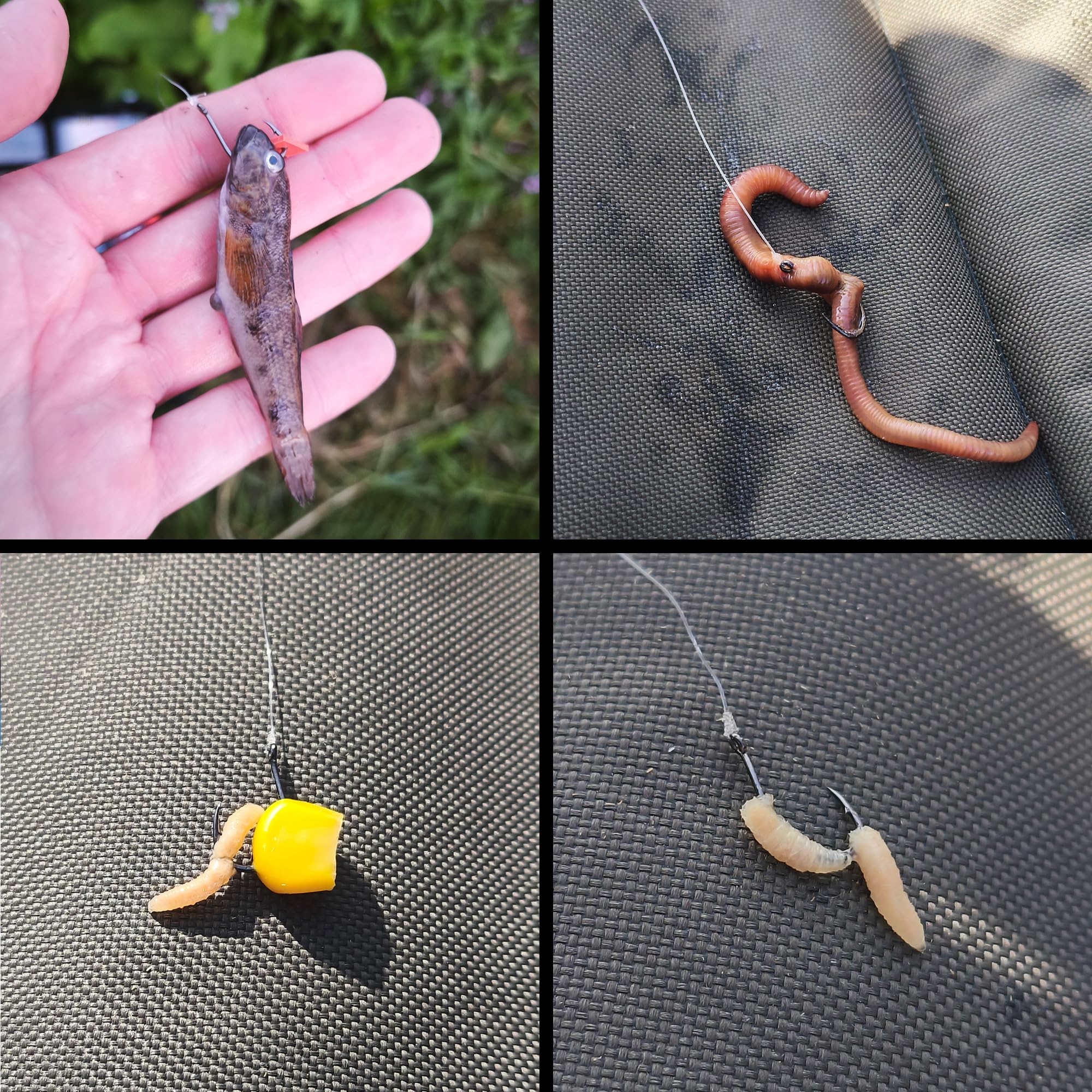 Paradox Fishing Uniwersalne haczyki wędkarskie z uchem I 100 sztuk #10/#8/#6/#4/#2 – po 20 sztuk I zestaw haczyków wędkarskich na karpie, pstrąga itp.