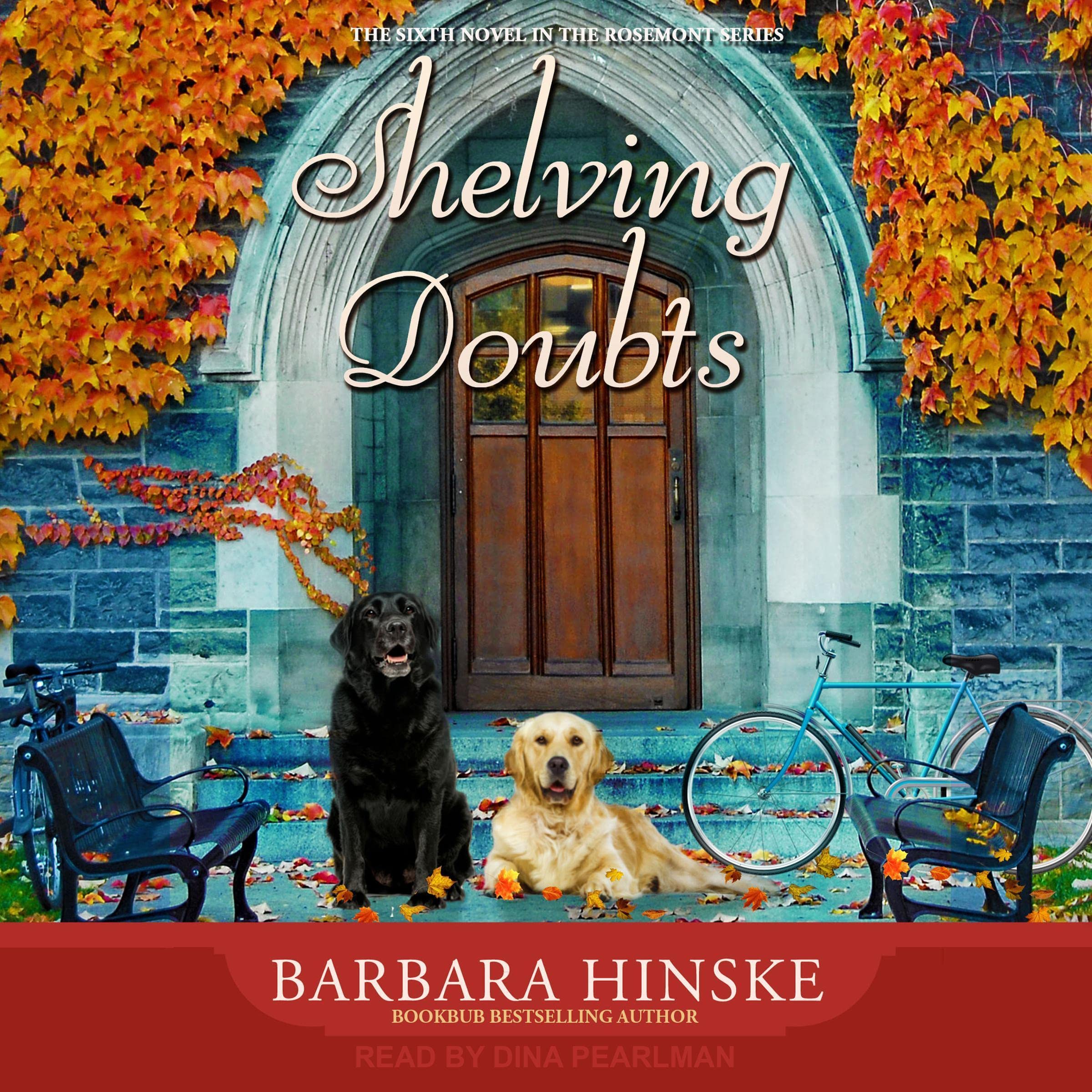 Cover art for Shelving Doubts
