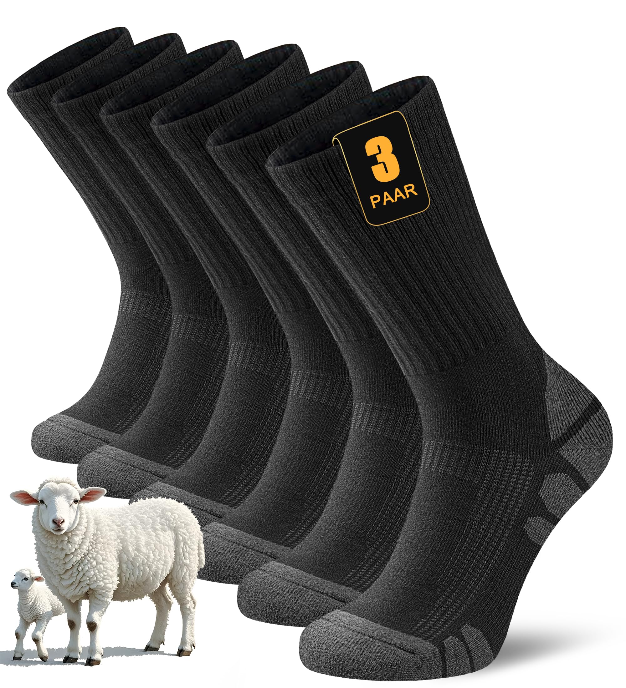 Calze Termiche Invernali Da Uomo - Militari 6P - Lana Merino - Altezza Polpaccio - Taglia 6-11 UK