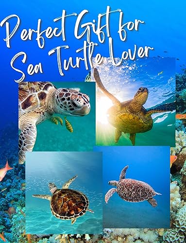 Miniatura 7 de Onebttl Juego de 6 posavasos de regalo de tortugas marinas, cerámica, con caja de regalo, absorbente con base de corcho, regalos para amantes de las