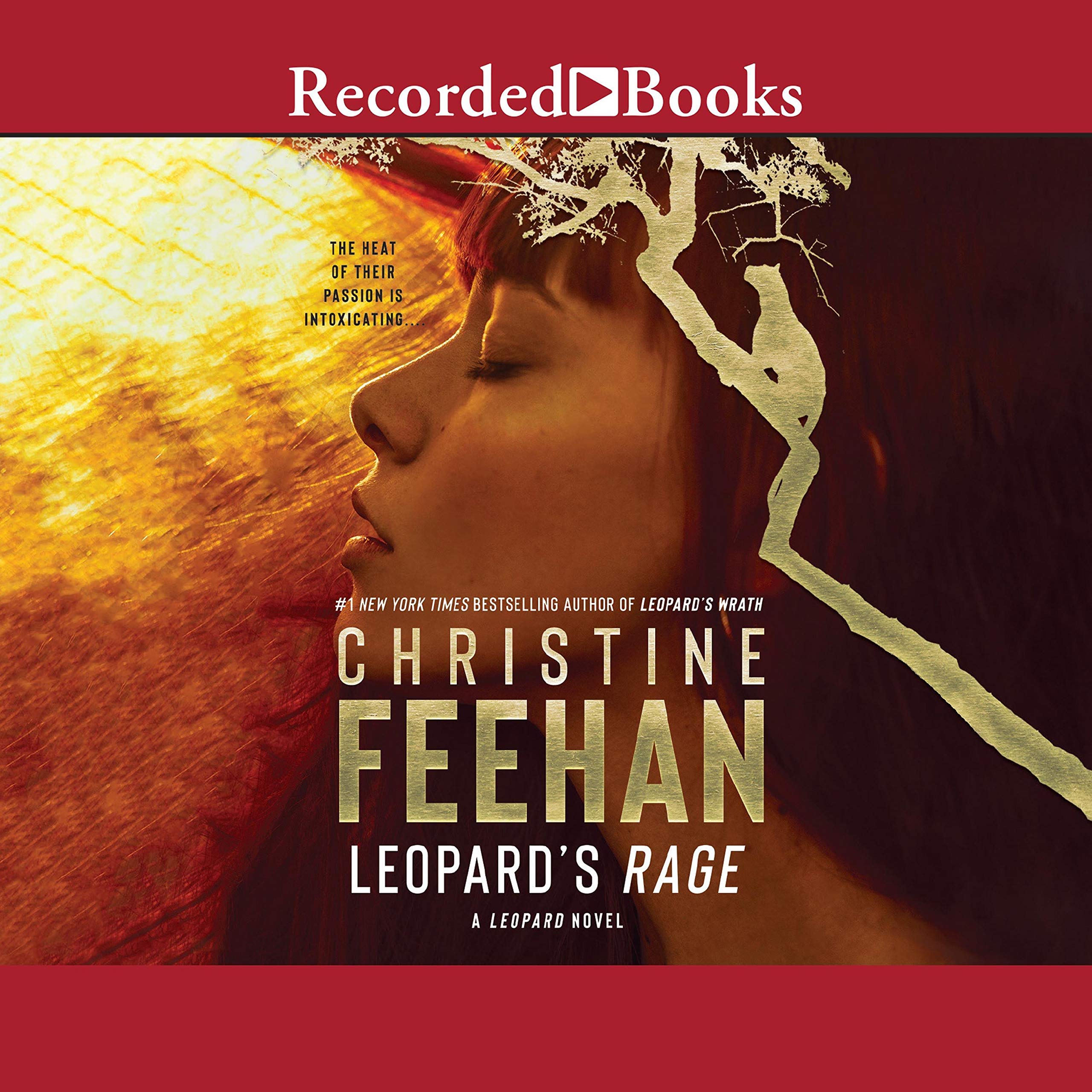 Cover art for Leopard's Rage