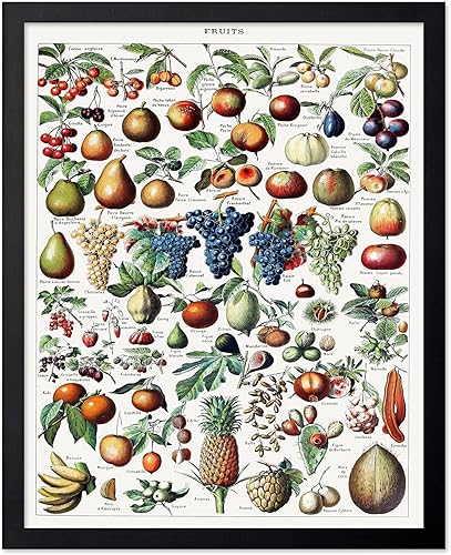 Miniatura 305 de Poster Master Póster vintage de orquídea, estampado de flores retro, arte de pared de plantas exóticas, arte botánico, regalo para hombres y