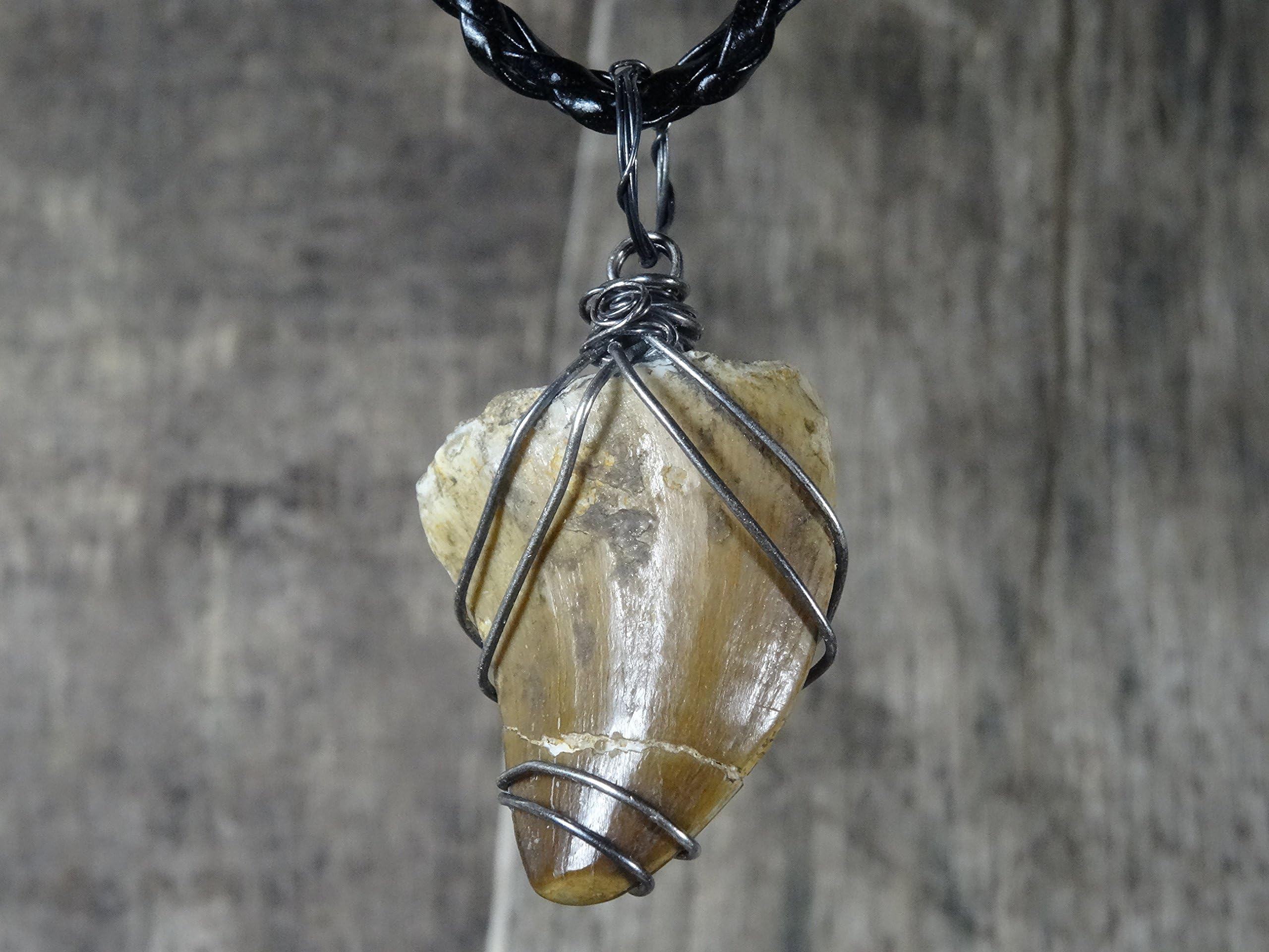 Real Large Mosasaurus Tooth Pendant, Oxidized Sterling Silver, Real Dinosaur Fossil Pendants, Dino Jewelry, Vulture Culture, Oddities and Curiosities