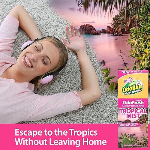 Miniatura 4 de OdoBan OdoFresh desodorante en polvo para alfombras y habitaciones para olores y olores del hogar, incluyendo humo, orina de mascotas, perros y