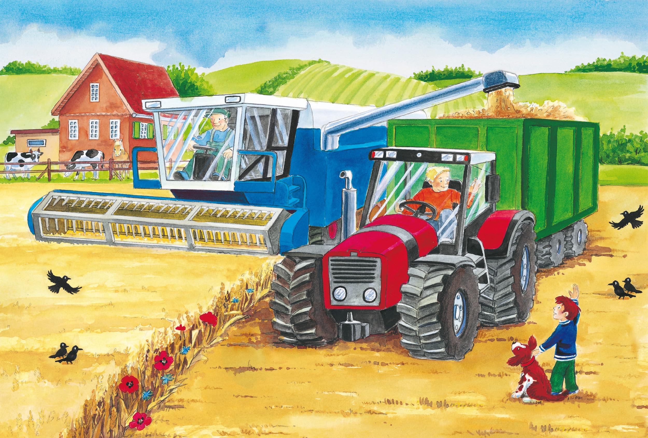 Schmidt Spiele- Puzzle alla Fattoria 3 x 24 Pezzi, Multicolore, 56216