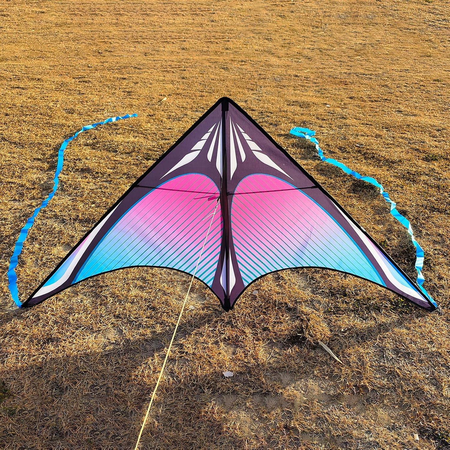 Large Beach Delta Kites for Adults and Kids Ages 4-8 & 8-12, Extremely Easy to Fly for Beginners(60X30''), Single Line Kite,Comes with 300 FT String Kite Handle