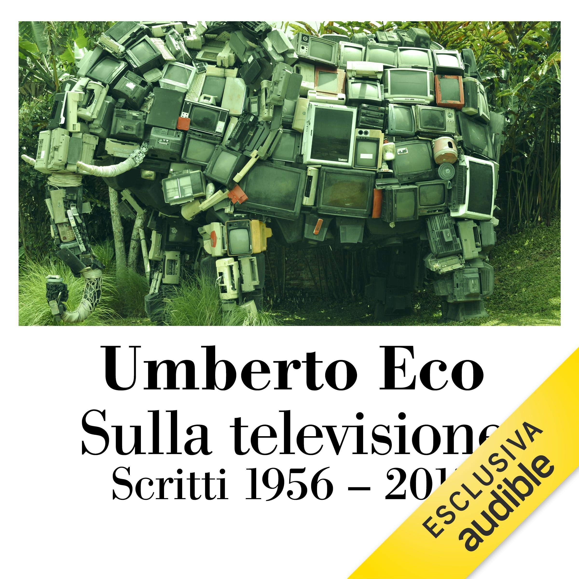 Sulla televisione