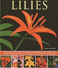 Lilies: An Illustrated Guide To Varieties, Cultivation And Care, With Step-By-Step Instructions And Over 150 Stunning Photographs