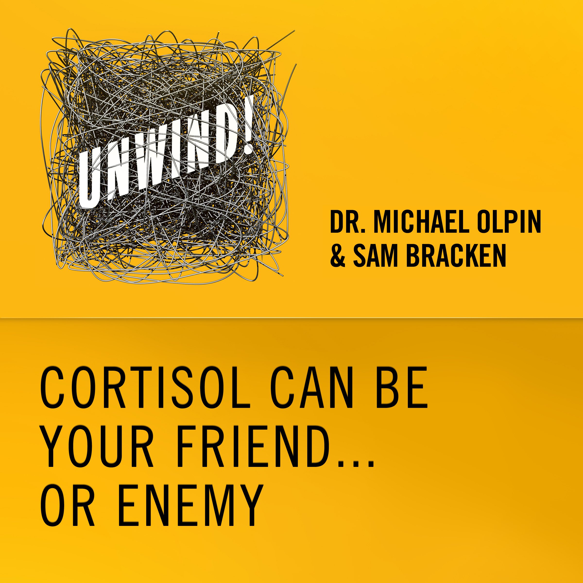 3: Cortisol Can Be Your Friend...Or Enemy