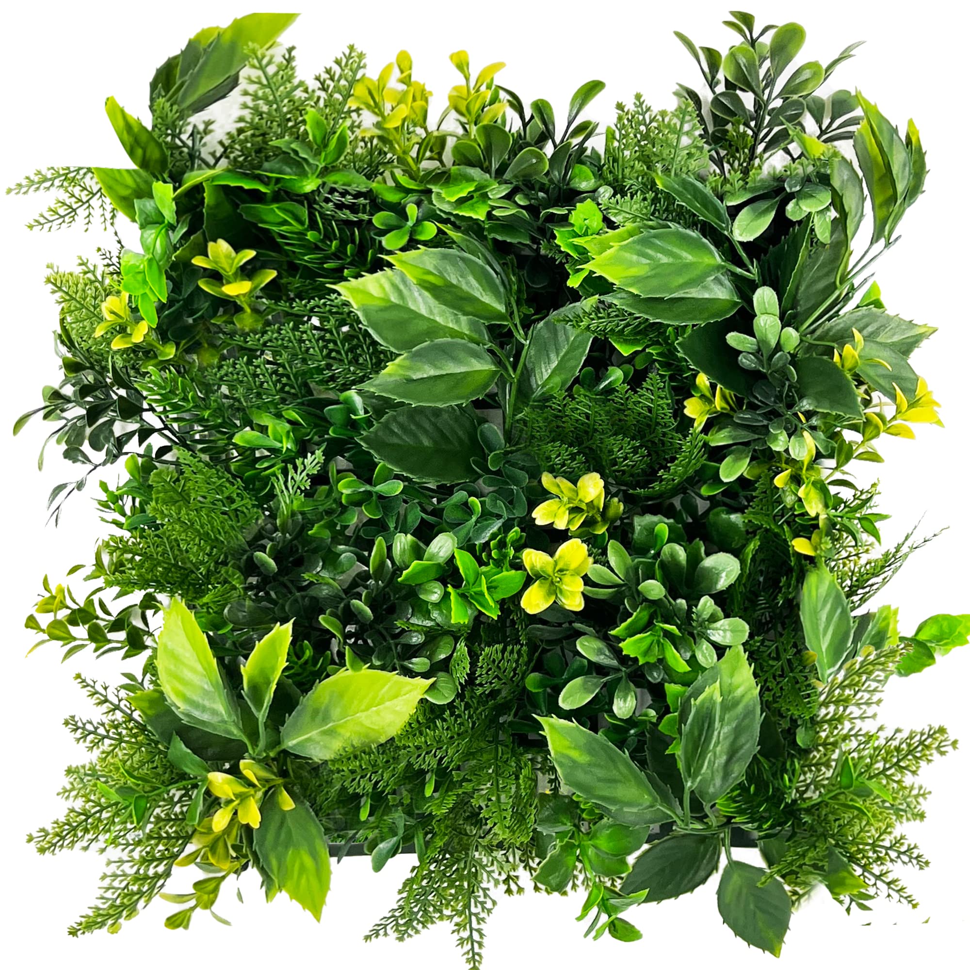 CANVASBEE 24 PCS 10"*10" Artificial Grass Wall Panels, Grass Backdrop Greenery Wall, Boxwood Hedge Panels, Wall Backdrop, Indoor Outdoor Décor, Fence Covering…