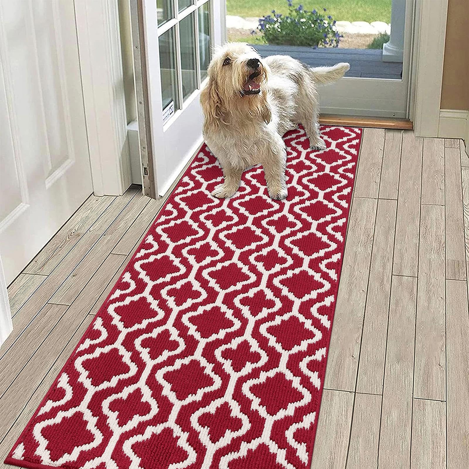 SHACOSRed Runner Rug 50 x 150 cm Hallway Runner Rug Non Slip Washable Hallway Hall Runner Rug Narrow Runner Rug Long Door Mats Indoor Carpet Runner Rug for Hallway Entryway Kitchen
