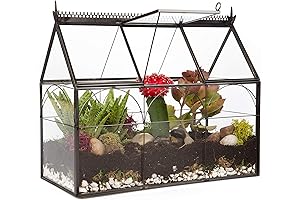 Glass Greenhouse Plant Terrarium: Black Geometric Planter for Lush Indoor Gardens