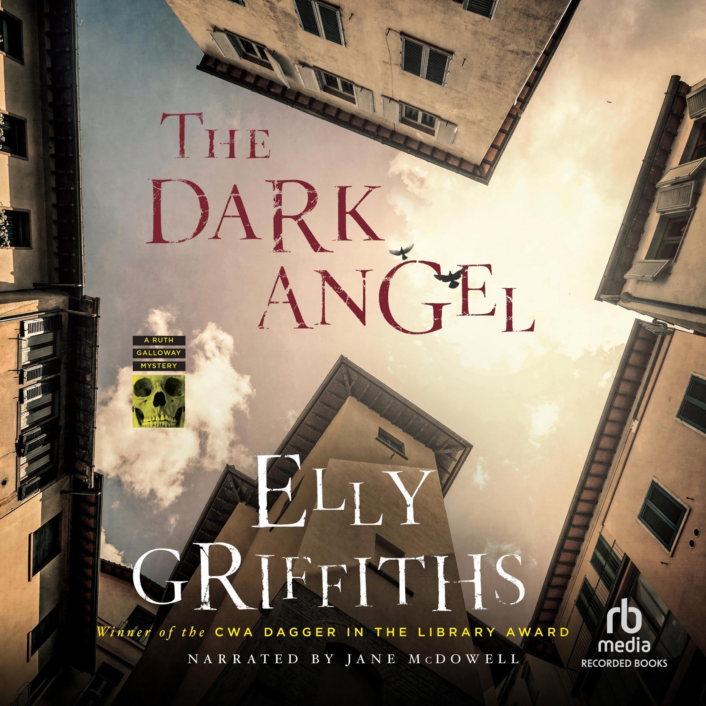 Cover art for The Dark Angel