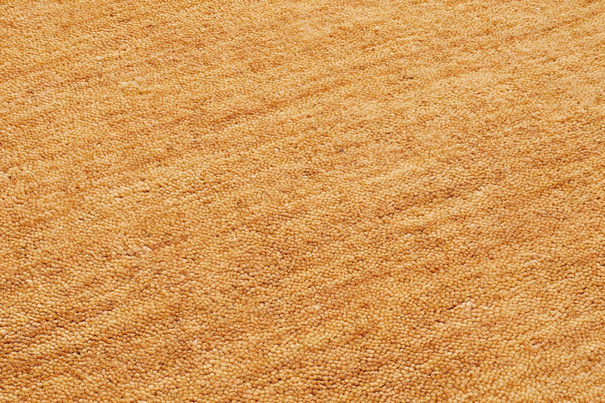 Steffensmeier Gabbeh Teppich Jaipur | 100% Schurwolle | Wohnzimmer | Schlafzimmer | Handtuft | Beige | 90x160 cm