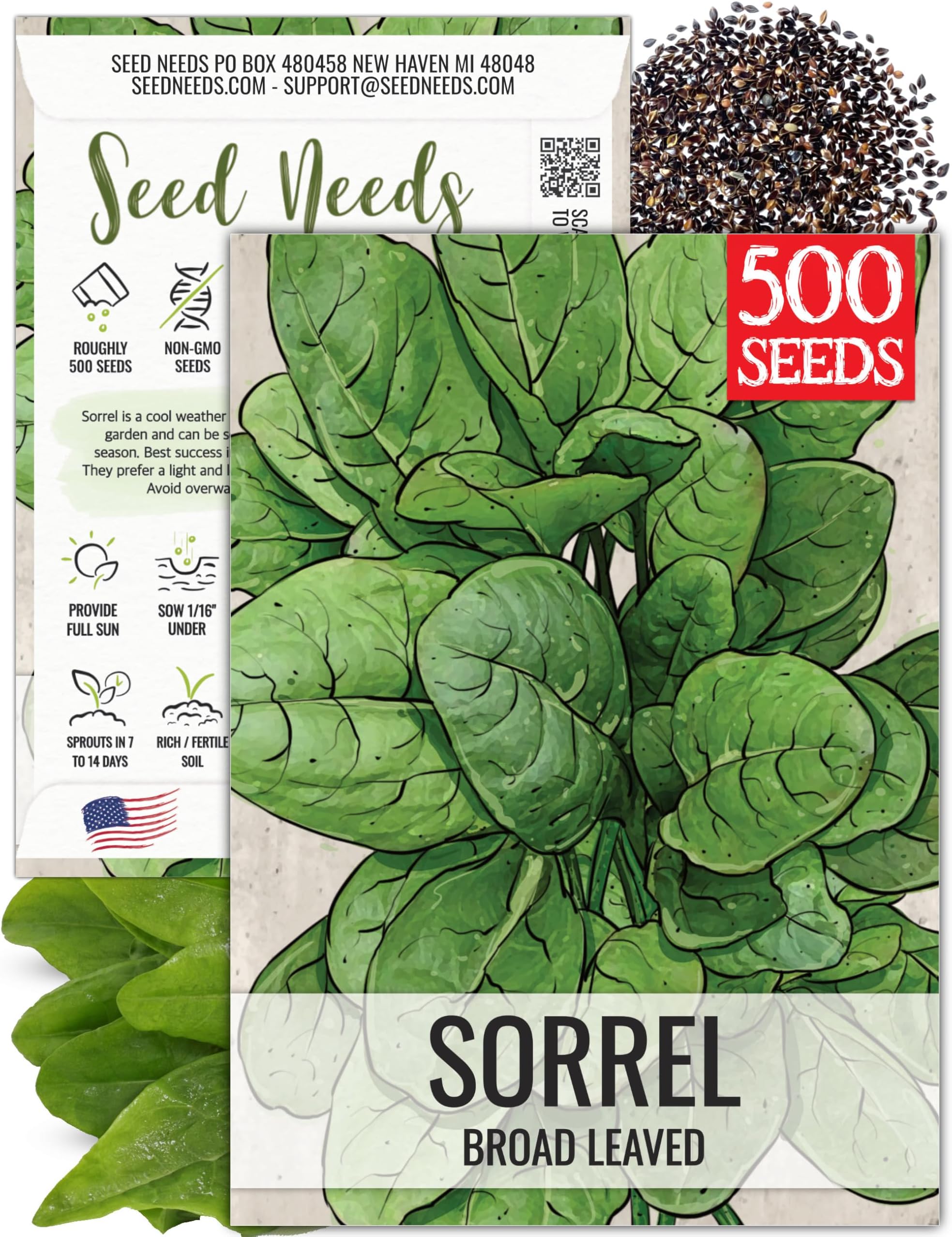 Seed Needs Large Leaf Sorrel Seeds for Planting - Heirloom Non-GMO & Untreated Medicinal or Culinary Herb - Grow a Home Grown Outdoor Garden (1 Pack)