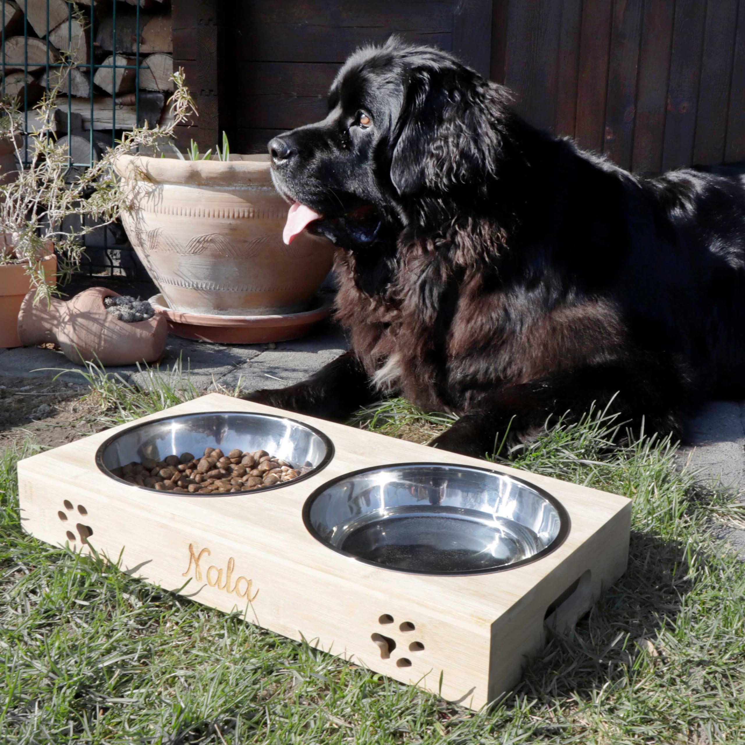 LAUBLUST Stazione di alimentazione con nome personalizzato per cani - Naturale | 49x26x7cm, rialzata - Ciotola per cibo e acqua per gatti | 2 ciotole in acciaio inox x 1,4L | Ciotola per gatti incisa