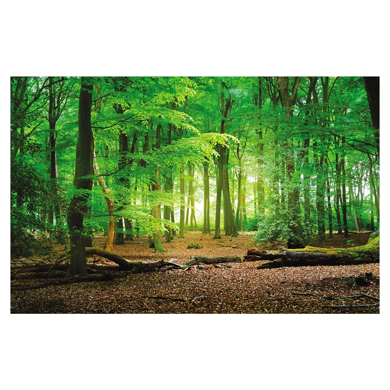 XYSCZYY9x6ft Camping Backdrop Jungle Forest Backdrops Forest Photo Background Nature Photo Spring Backgrounds Baby Shower Photography Studio Props 21-0906