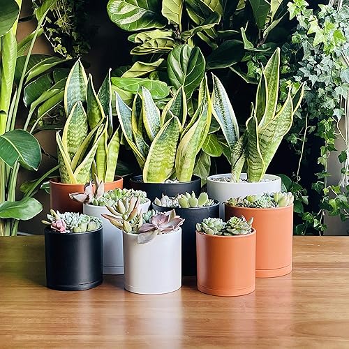 Miniatura 2 de Juego de 3 macetas de plástico de color terracota para plantas con agujero de drenaje y platillos sin costuras, tamaño pequeño de 4, 5 y 6 pulgadas,